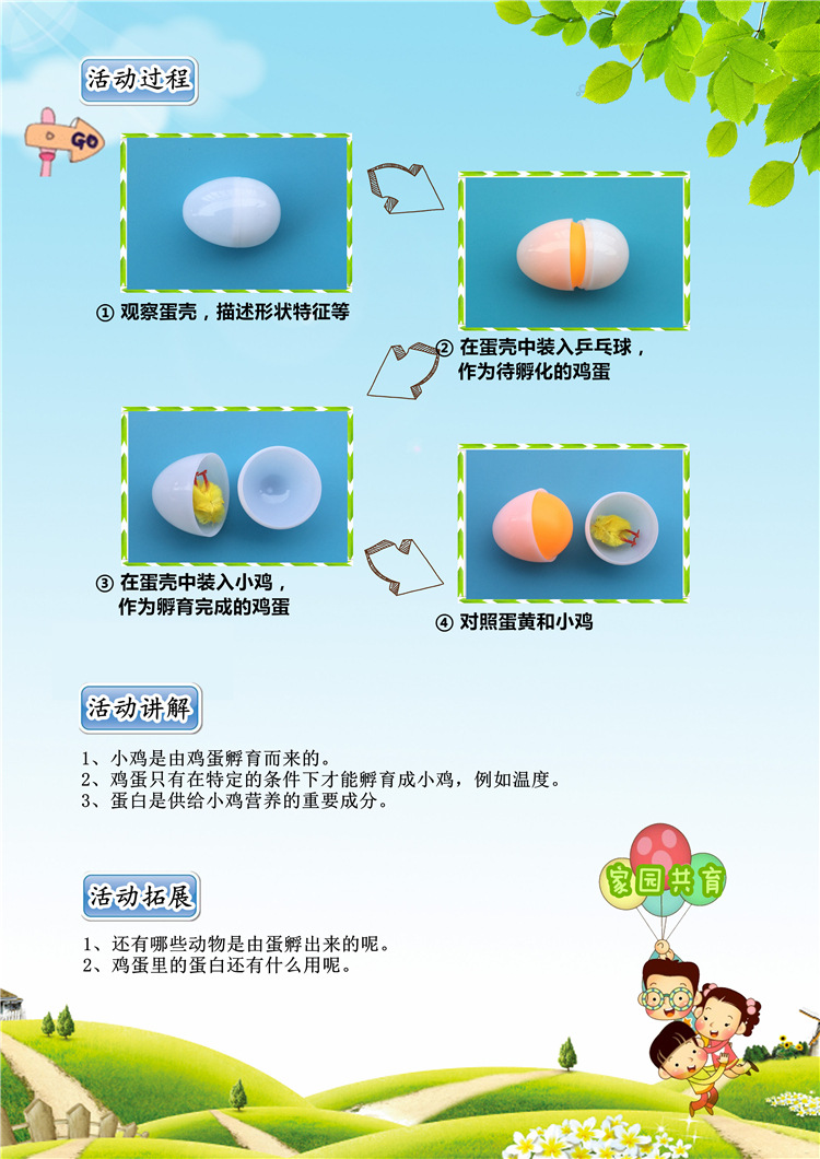 鸡蛋与小鸡 幼儿园儿童diy益智科学探索小实验科教具玩具教材