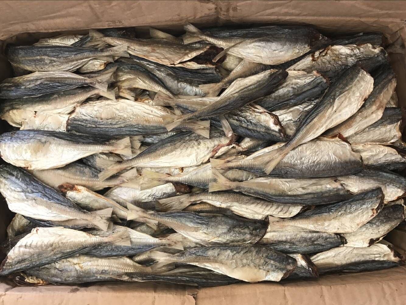 生池鱼干(每件为15公斤)