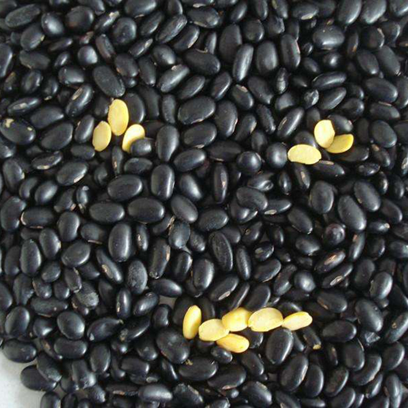 长黑豆