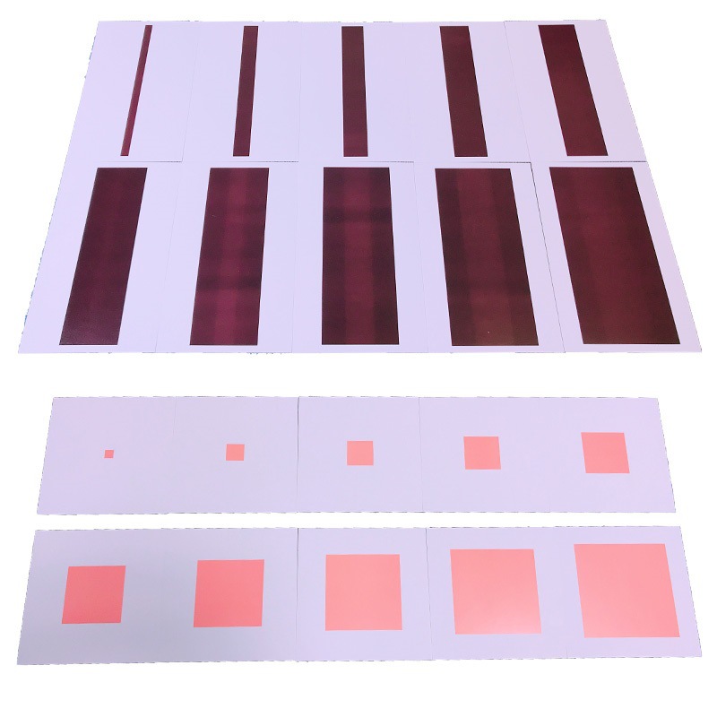 蒙氏教具卡片分数小人粉红塔棕色梯动物植物三部卡投影卡对应卡片