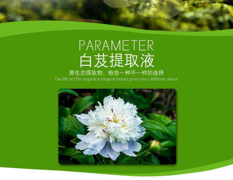 厂家直供天然植物原液 白芍提取液 化妆品用提取液