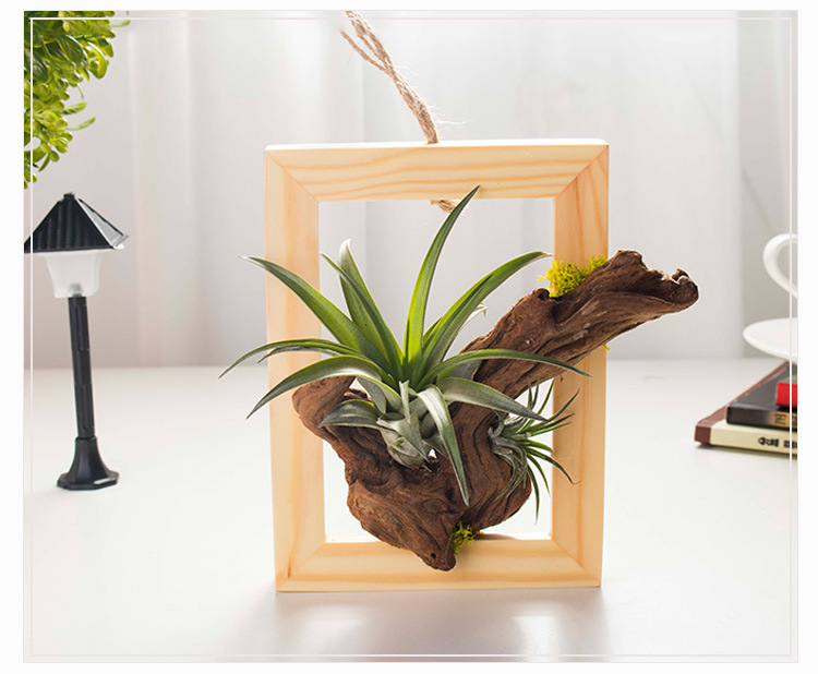 空气凤梨无土懒人植物支架绿植花卉挂件客厅卧室办公室创意微景观