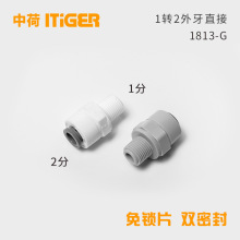 2转1外牙直接净水器1042接头2分转1分外丝中荷ITiGER快接1813-G