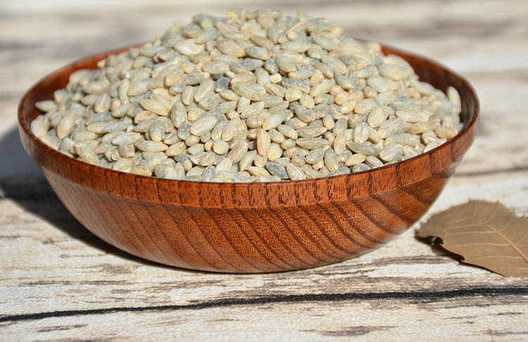 青稞的功效与作用 青稞,味咸,性平凉.补中益气.