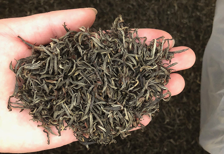 黄金桂桐木关花香金骏眉 福建武夷山小种红茶 散茶批发