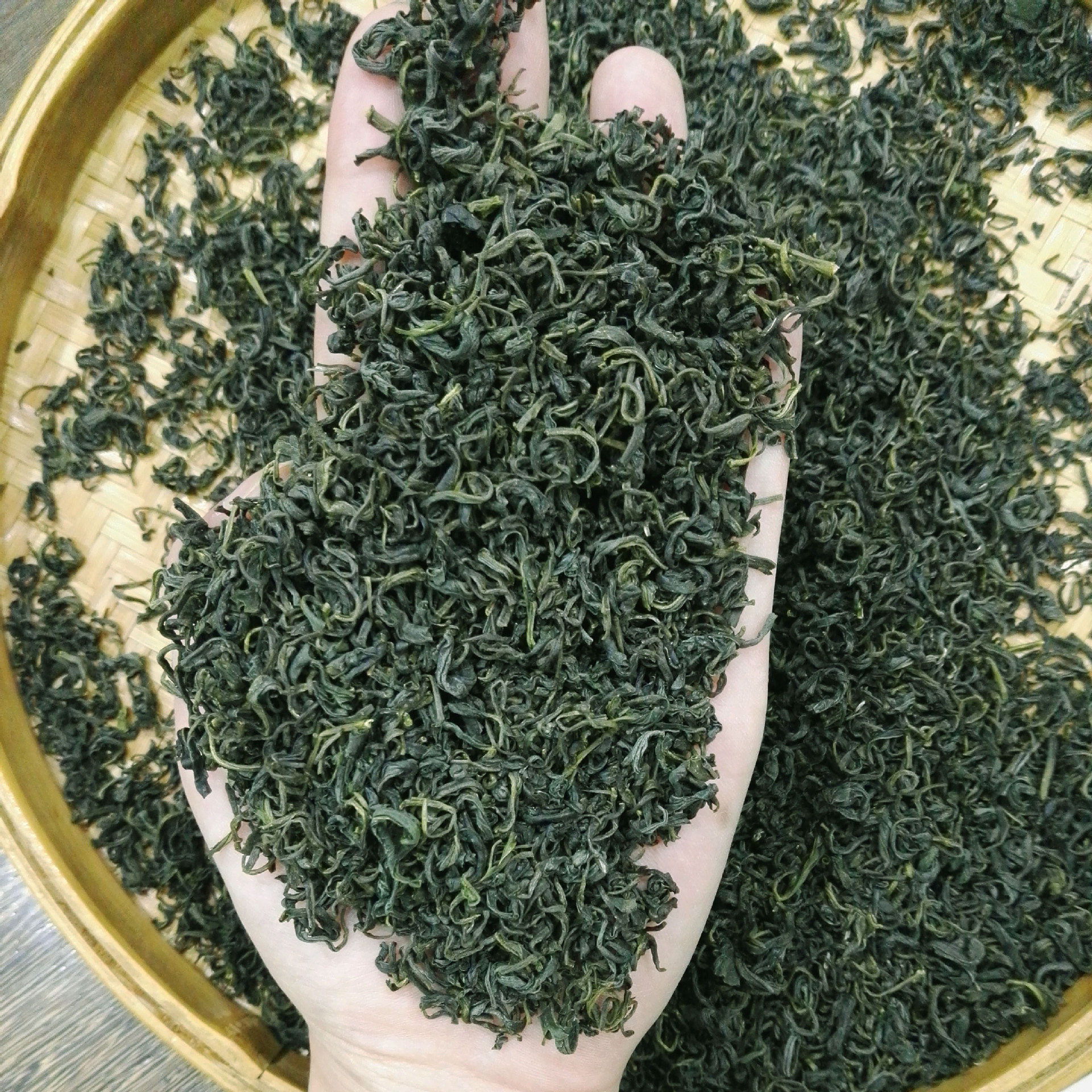 早春绿茶 香茶毛峰  炒青绿茶 绿毛峰 四川雅安春毛峰