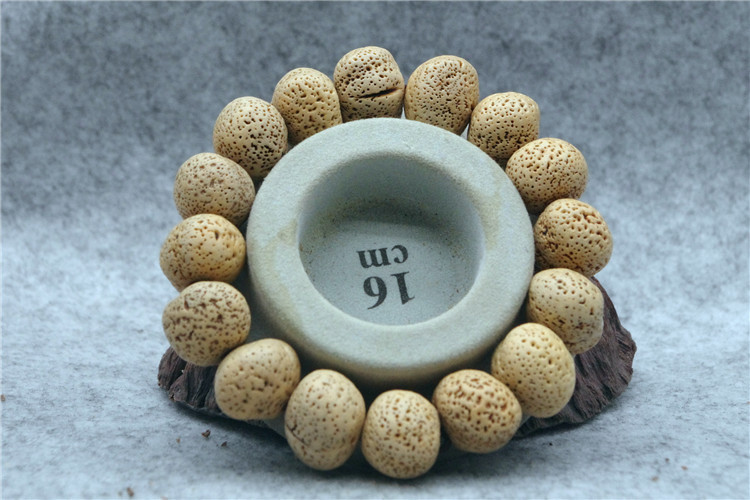 新款 星月菩提原籽手串 金禅子手串 星月原材料