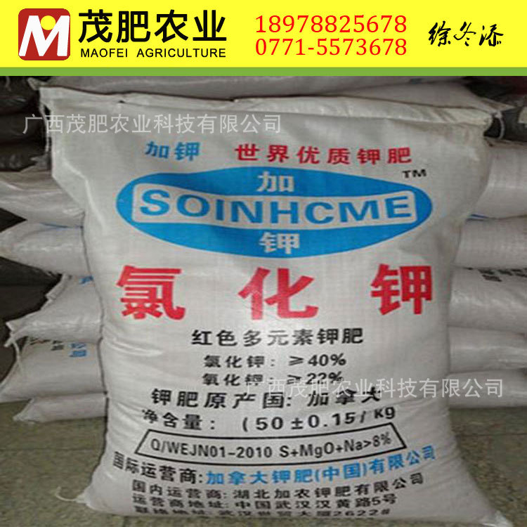 氯化钾化肥 氯化钾 加拿大 氯化钾颗粒 钾肥