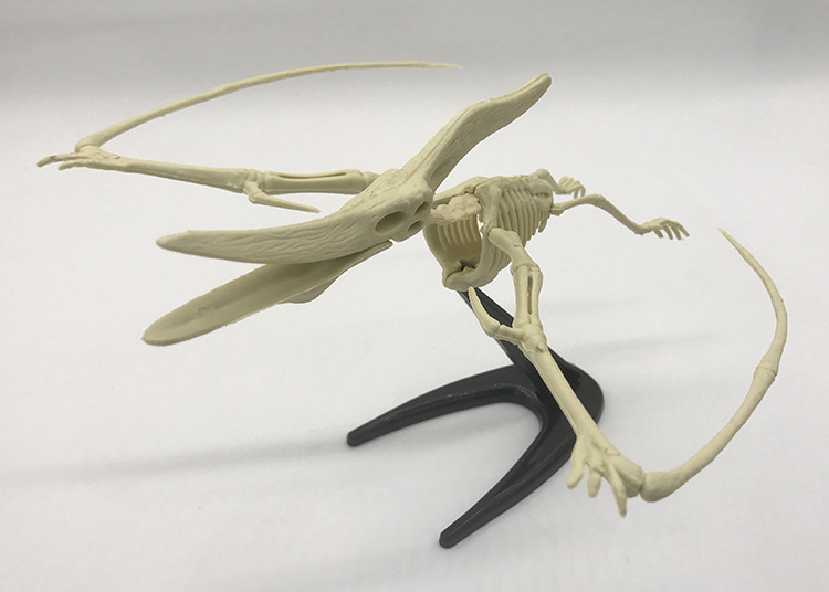 恐龙考古挖掘玩具塑料简装翼龙宝奥考古亲子互动玩具恐龙骨架挖掘