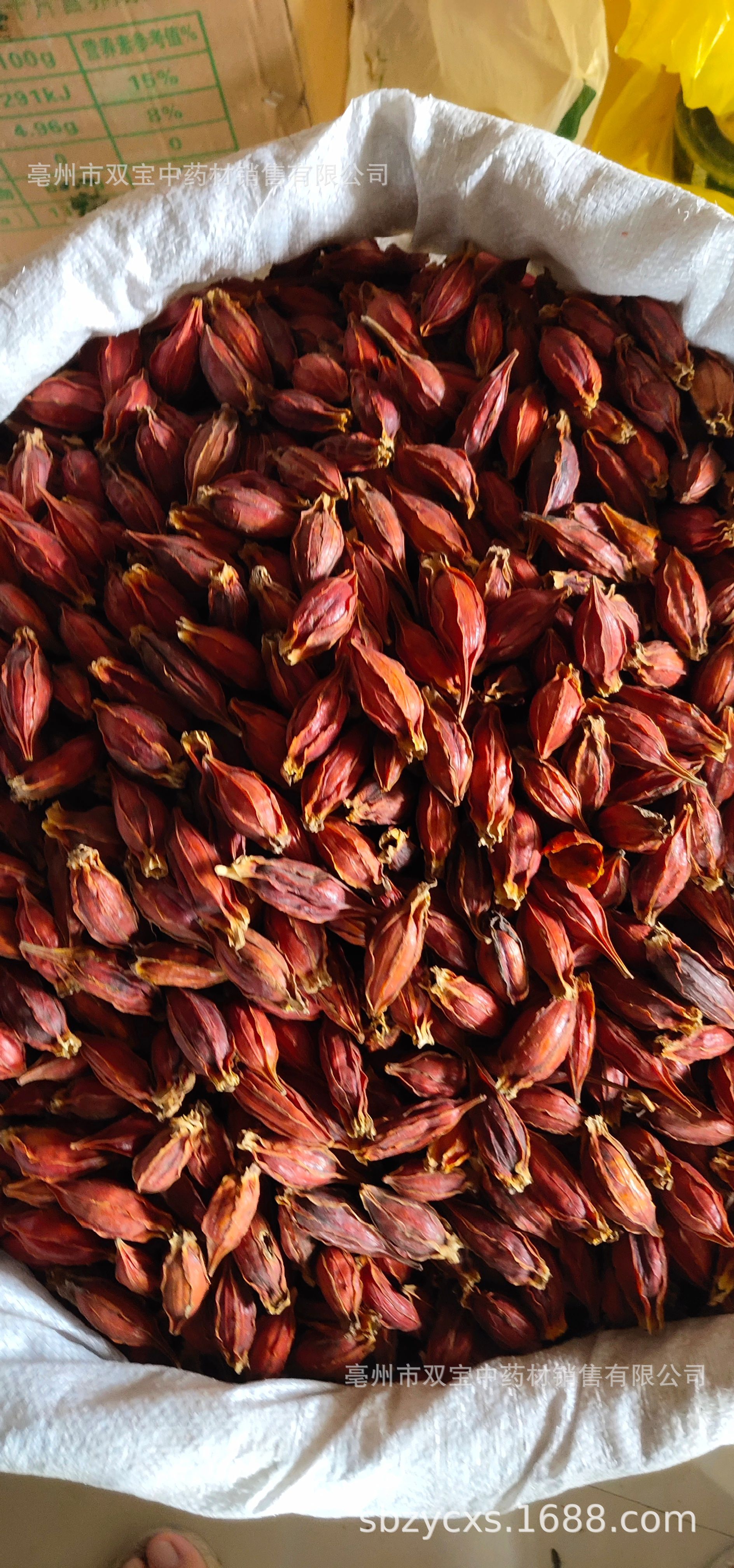 双宝供应散装 江西红栀子 山栀子 水栀子 枝子茶各种规格栀子大货