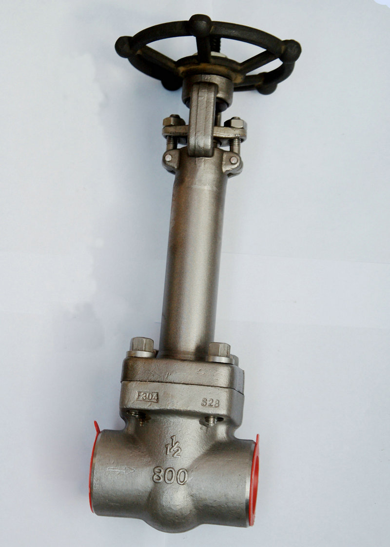 厂家直销dz61低温加长闸阀 内螺纹不锈钢锻钢闸阀 手动闸板阀批发