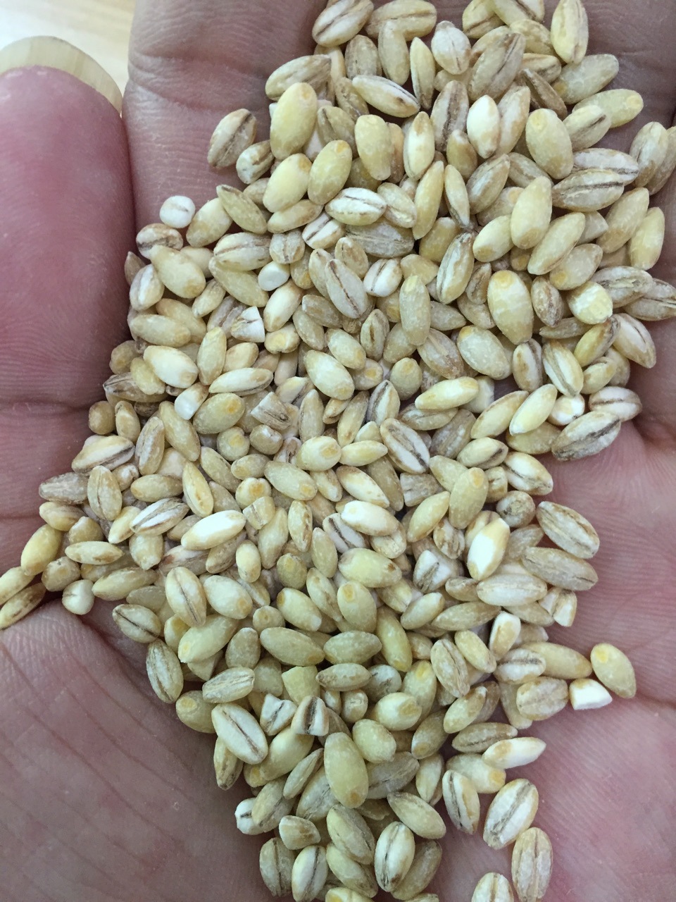 鸽粮鸽子粮食宠物粮食 鸽子饲料 鸽子大麦25kg 五谷杂粮