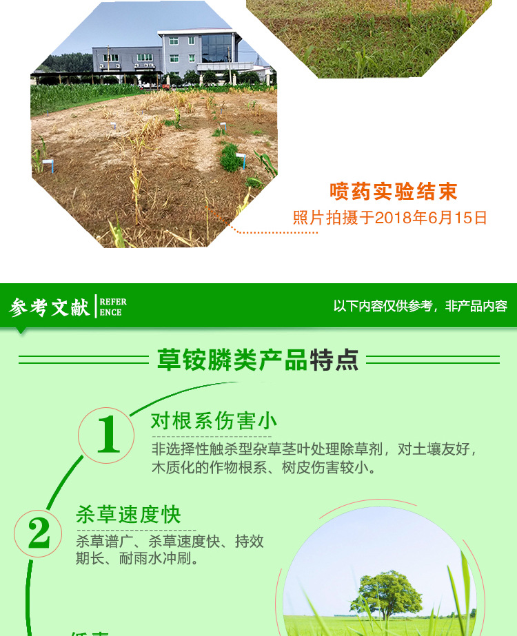 中保农药 高含量30%草铵膦快速灭生除草剂好于草甘磷 1000克*2瓶