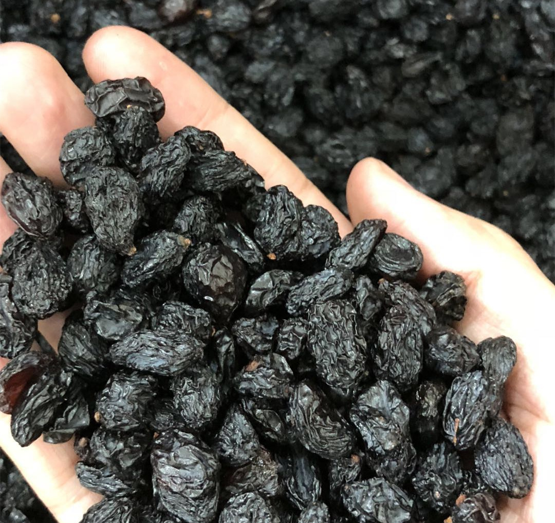 清洗黑加仑 乌兹别克斯坦干果 自然晾晒 黑葡萄干 散装整箱批