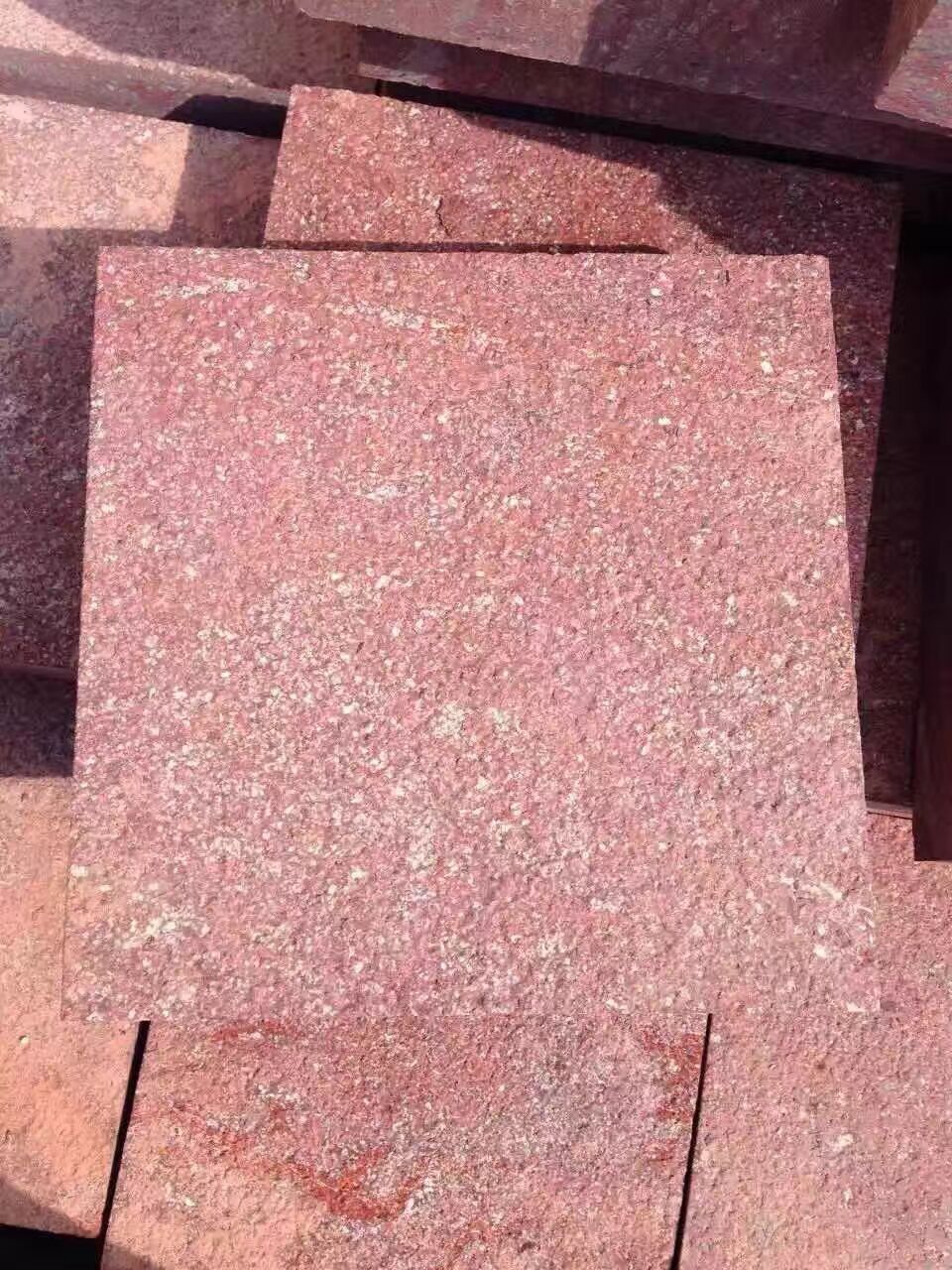 厂家供应福寿红 福鼎虾红 贵妃红 各种规格欢迎