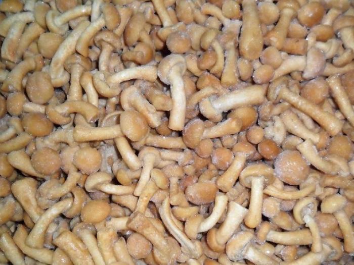 速冻净菜 滑子菇 厂家直销批发