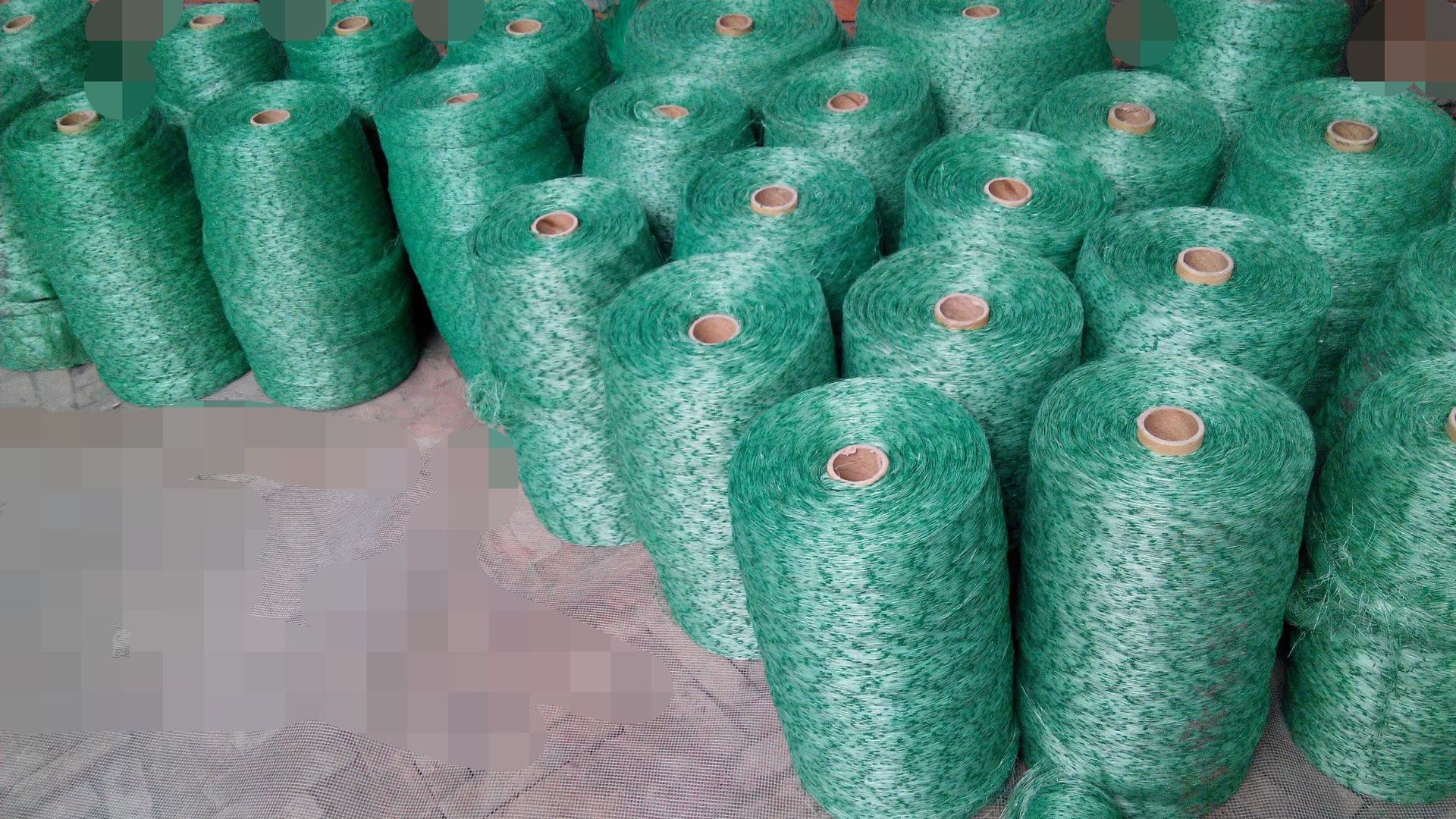 防鸟网4*10两个加10地丁