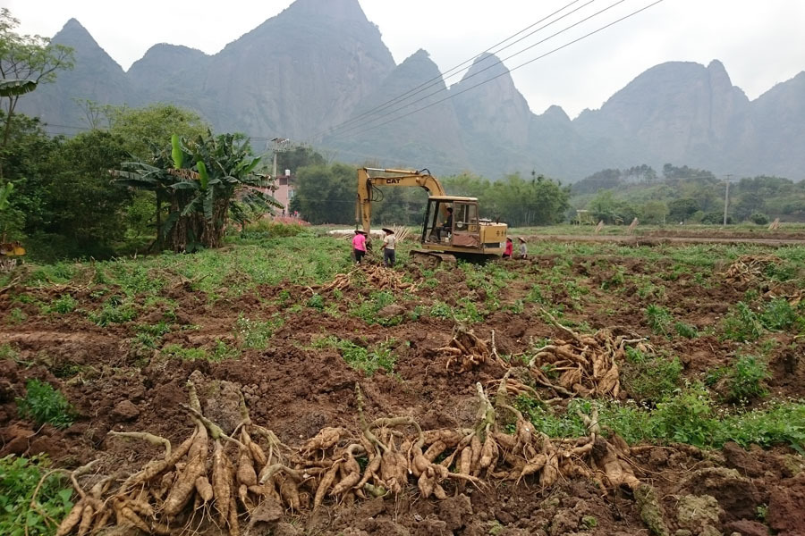 似米非米的葛根米