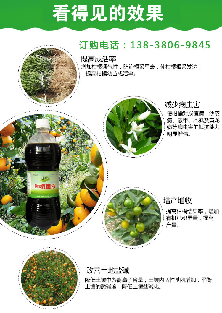 柑橘种植功能作用