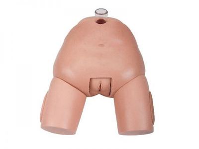 女性膀胱穿刺模型|膀胱实习模型