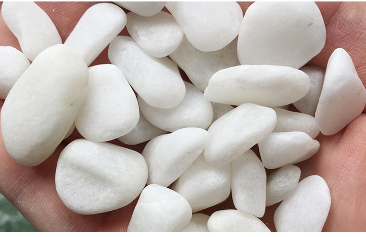 白色砾石水洗石白石子白色石子水磨石白石子批发鹅卵石大批量