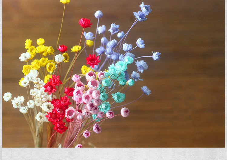 天星菊真花干花微型迷你小雏菊花干花小星花拍摄道具小星花干花