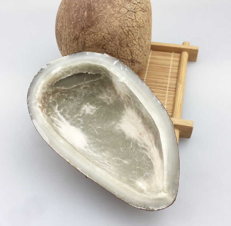 印度椰子皇玉白肉海椰皇椰青王正宗进口新鲜煲汤甜品酒店食材批发