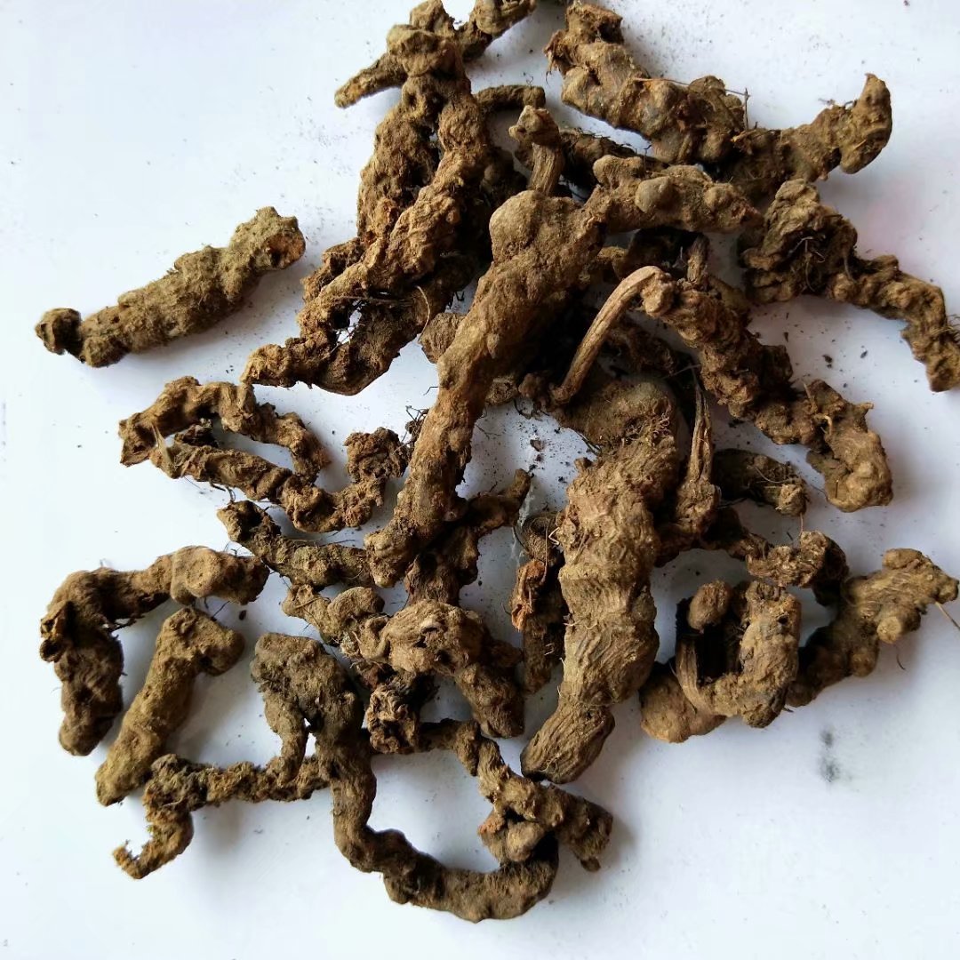 中药材大叶半边莲根 乙阴草根 每件500克