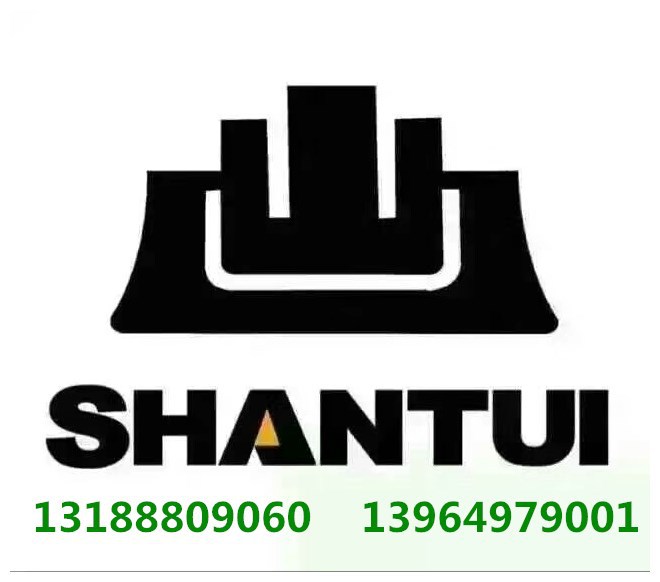 销售山推sd16l推土机支重轮护板16l-40-70000 链条