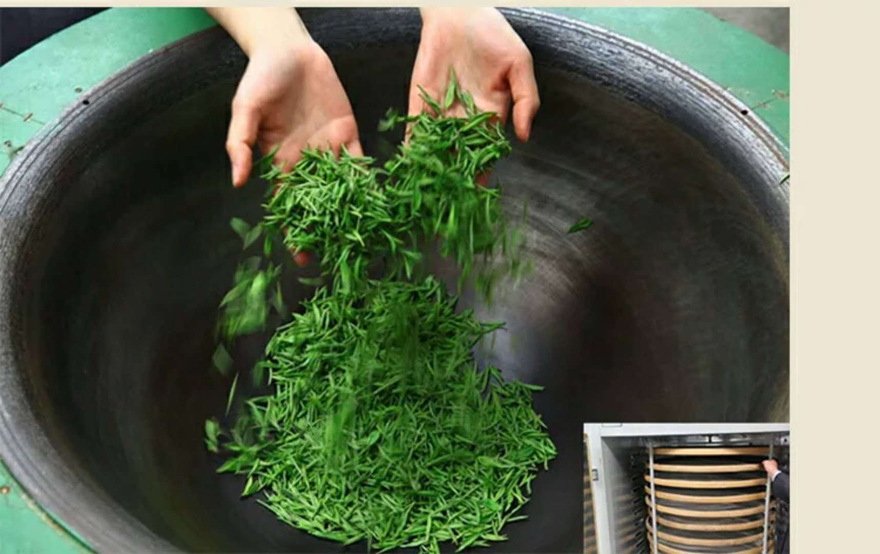 2017明前绿茶 春茶 特级单芽 雀舌 广西三江茶叶高档 礼盒装500g