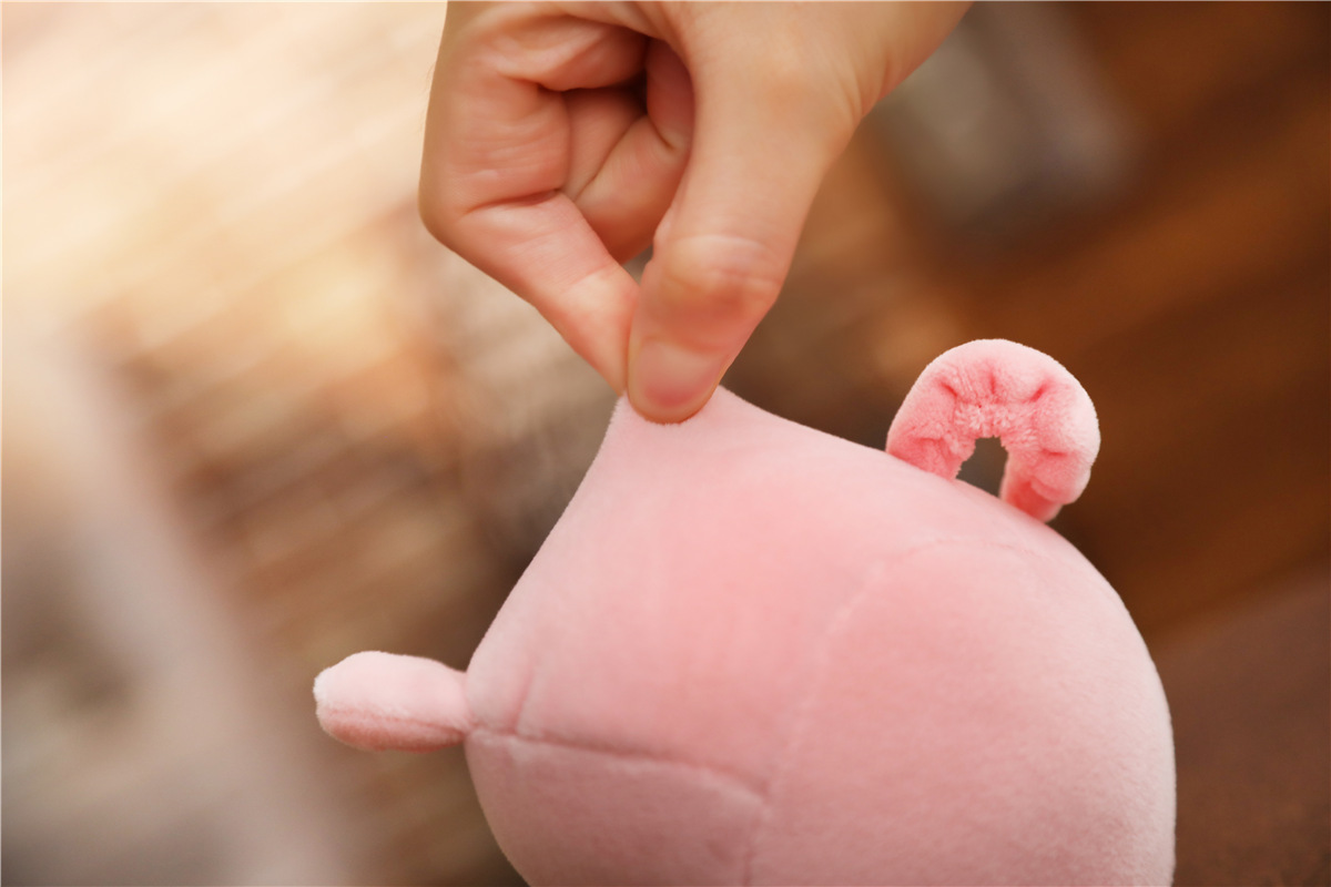 ins日本创意可爱一大袋布丁猪抱枕毛绒玩具玩偶情人节礼物送女生