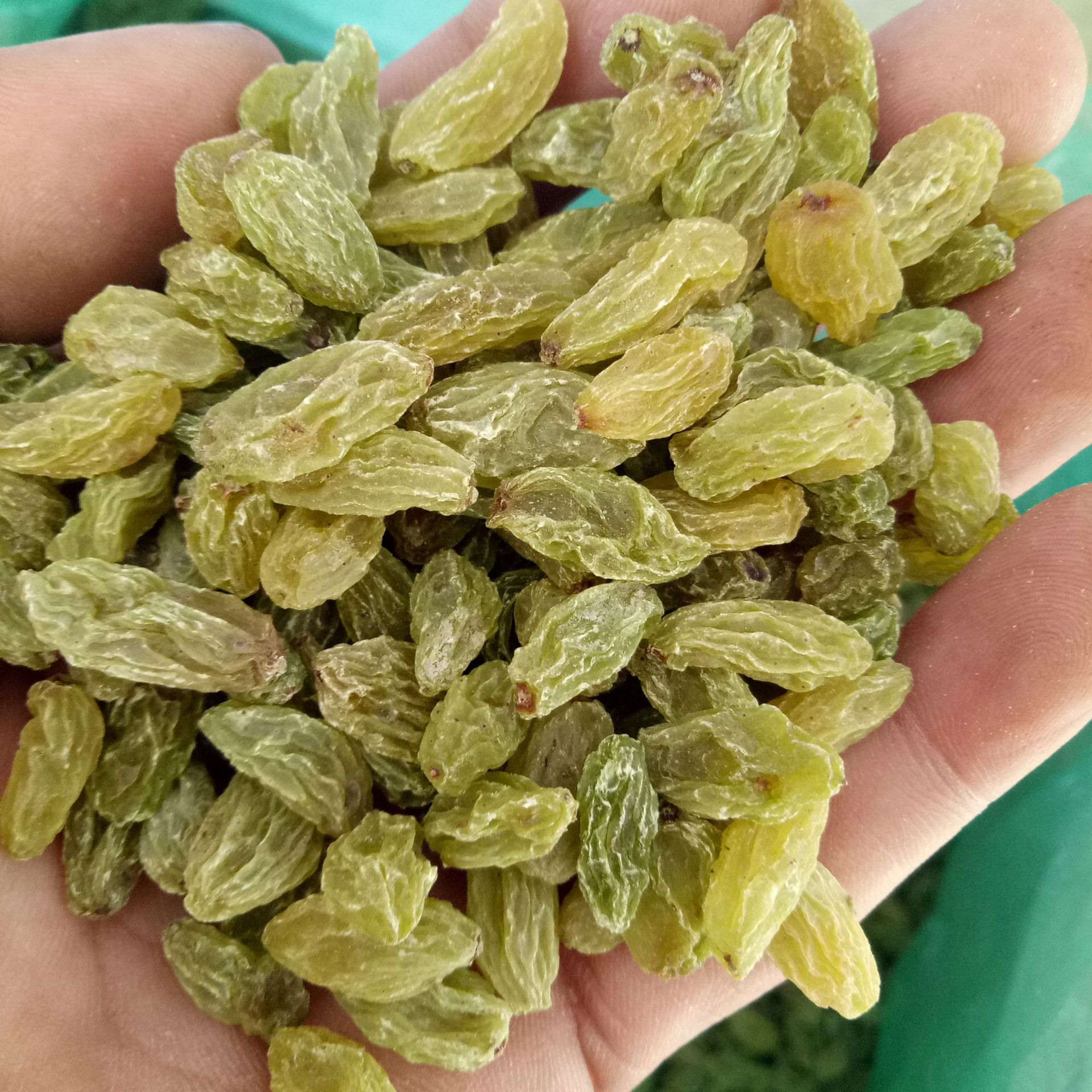 新疆特产吐鲁番葡萄干500g袋休闲零食散装干果批发新疆无核提子干