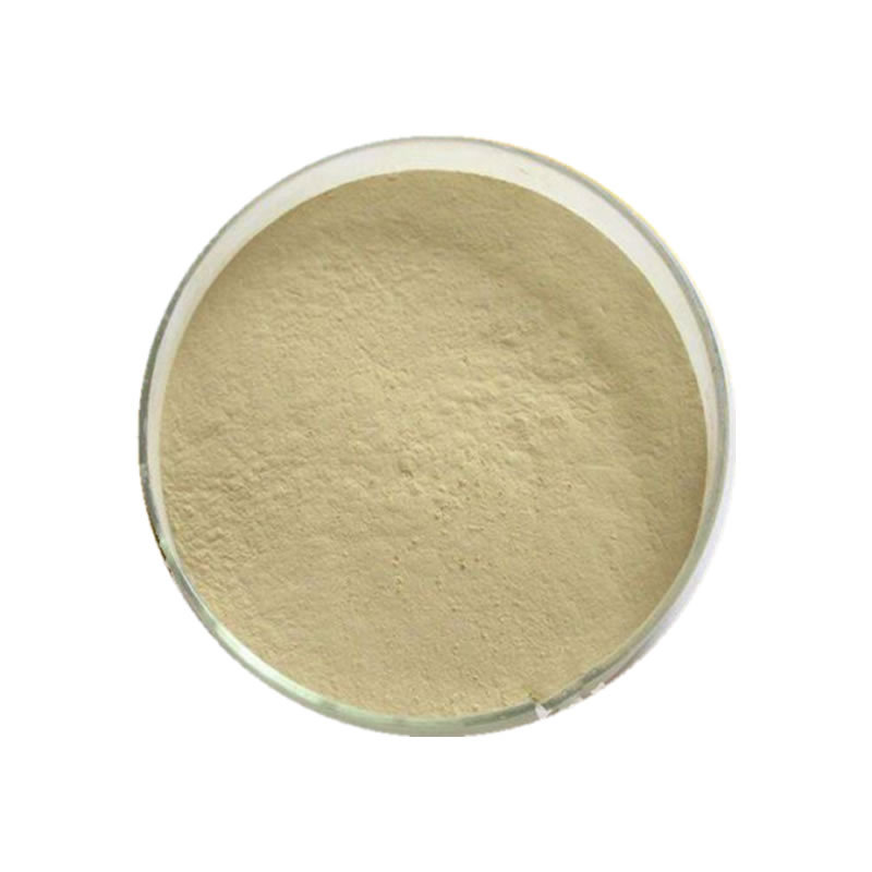 增稠剂 黄芪胶 食品级 含量98% 量大从优 现货供应