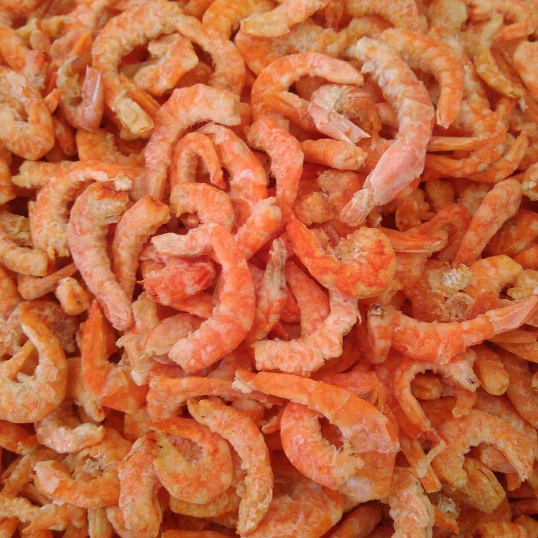 供应 海米 虾仁 虾米 干海鲜类 水产批发