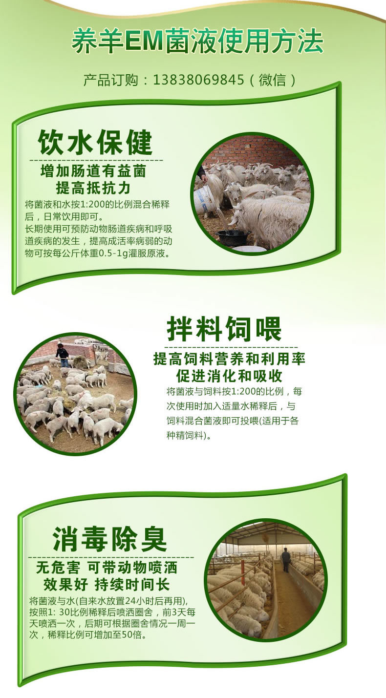养羊em菌液使用方法