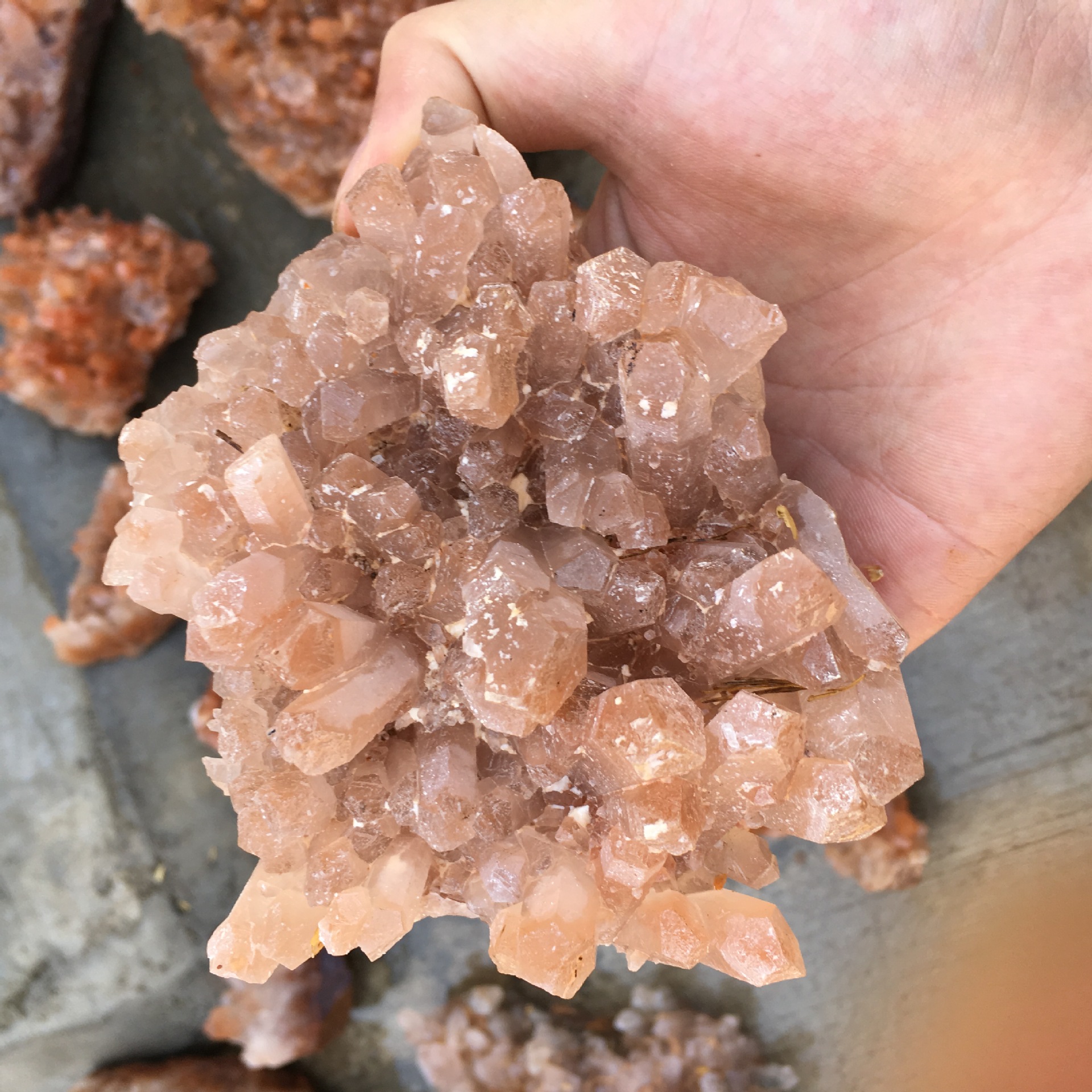 天然红水晶晶簇摆件 原石矿标 家居摆件办公装饰 产地直销