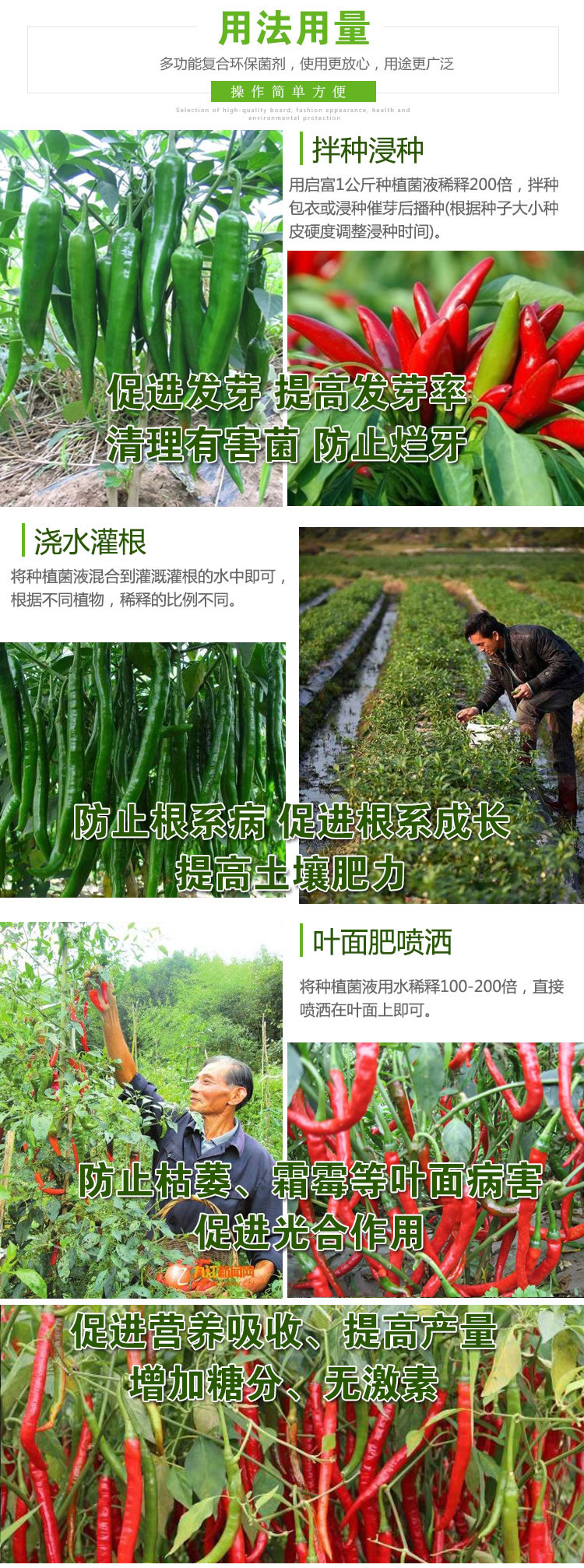 辣椒种植益生菌使用方法