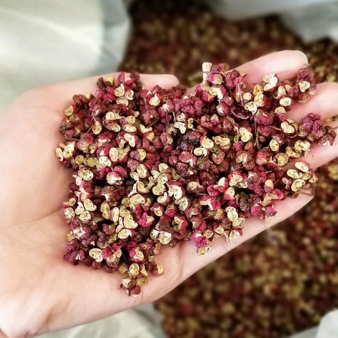 新货四川茂县茂汶花椒干麻椒红花椒 纯茂汶花椒火锅底料食品调料