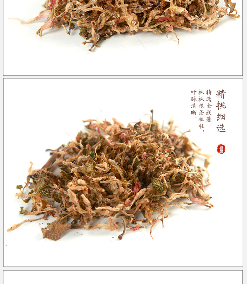 花叶开唇兰中文学名:金线兰金线兰(shorthairyantenoron),别名金丝线