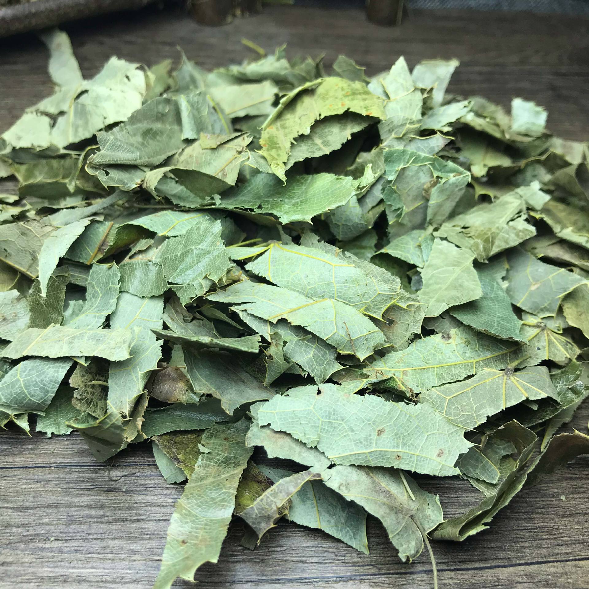 野生淫羊藿 洋火叶 炙淫羊藿 甘肃淫羊藿叶 老兵诚信中药材批发