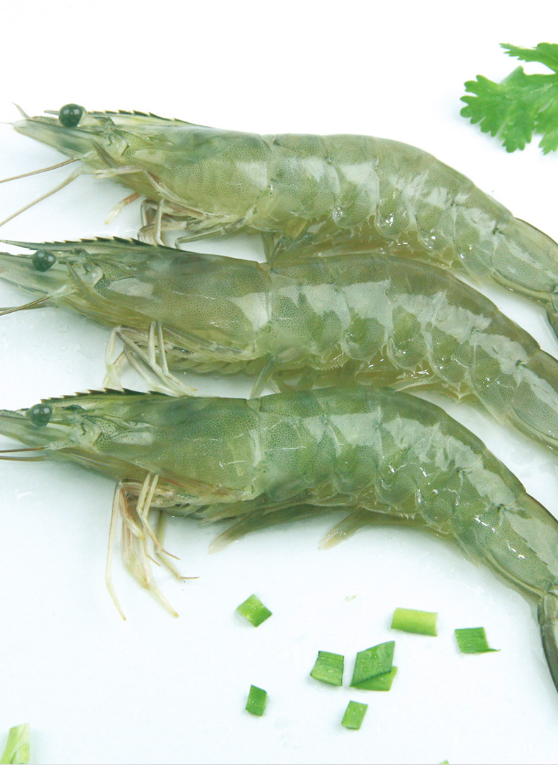 南美白虾 冷冻厄瓜多尔海虾 原装进口冷冻海鲜批发 2000g