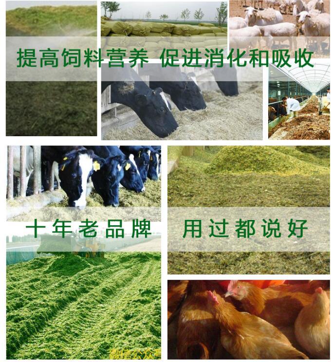 �ͻ�����