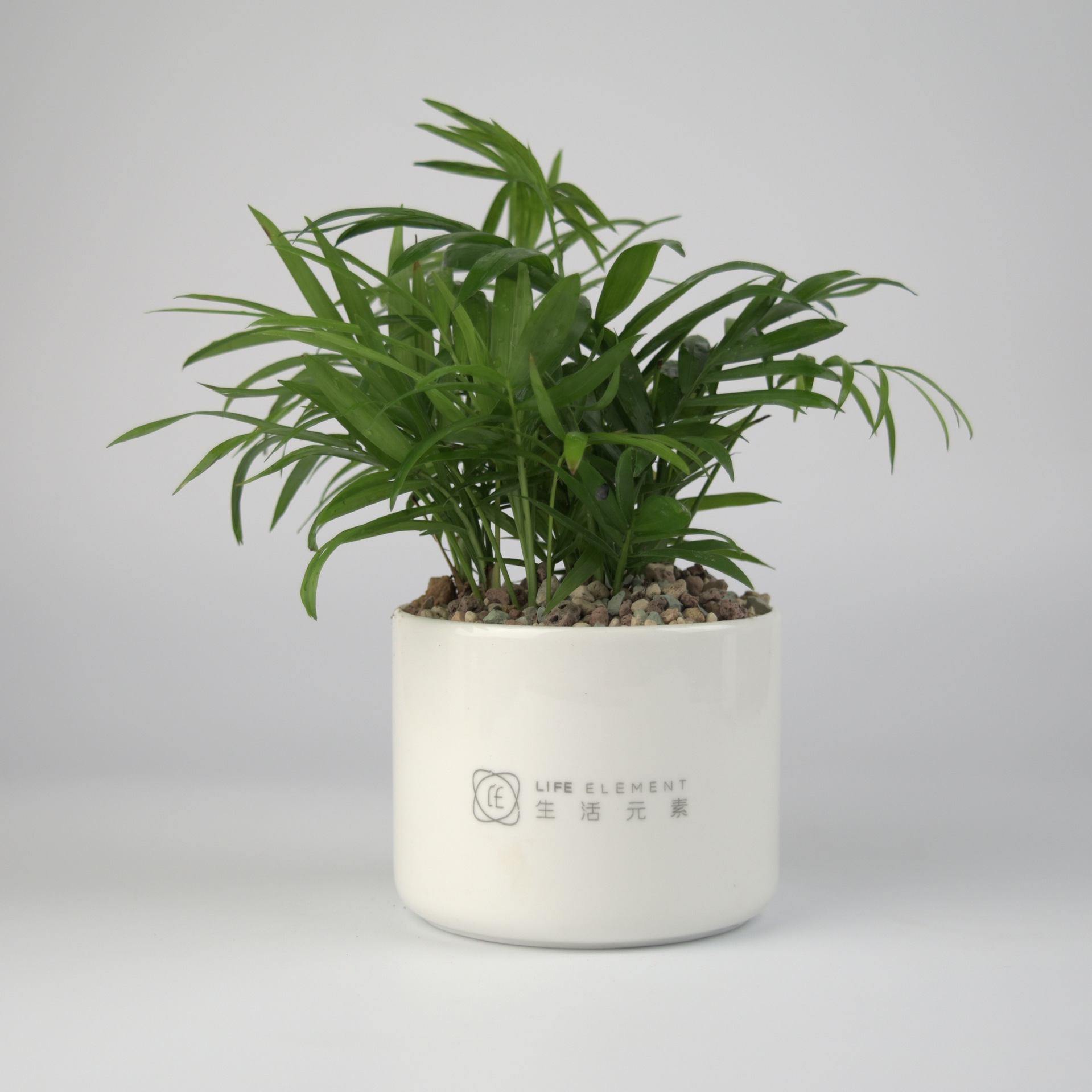 创意多肉花盆 白色陶瓷花盆简约圆形zakka桌面园艺盆栽绿植花器