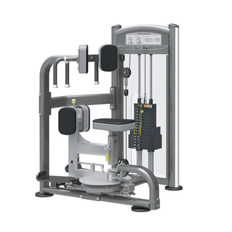 英派斯it9318扭腰机商用坐姿式躯干转体旋转腰腹转动训练健身器械