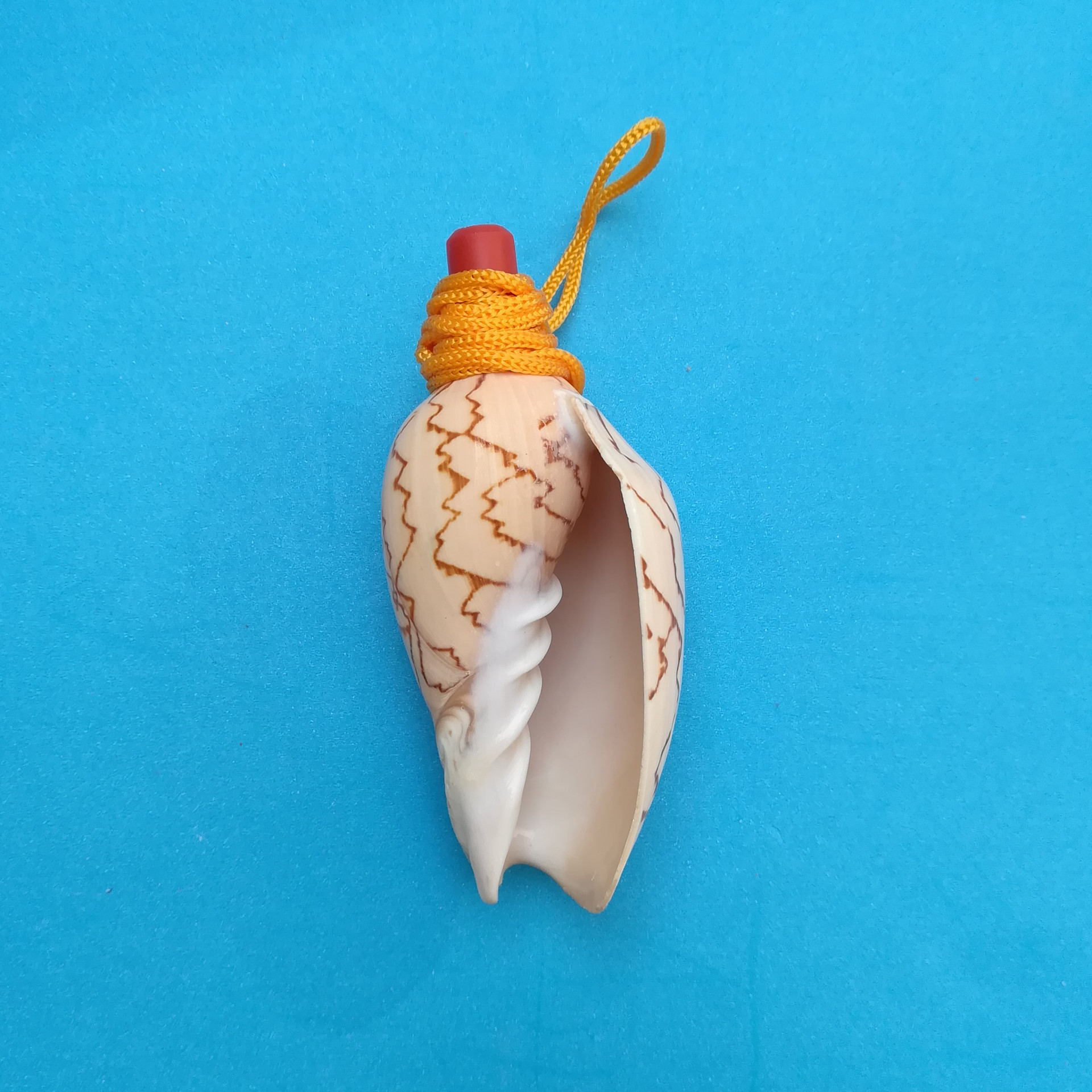 贝壳海螺号 小山水海螺哨子 儿童玩具吹响的螺号地摊货源