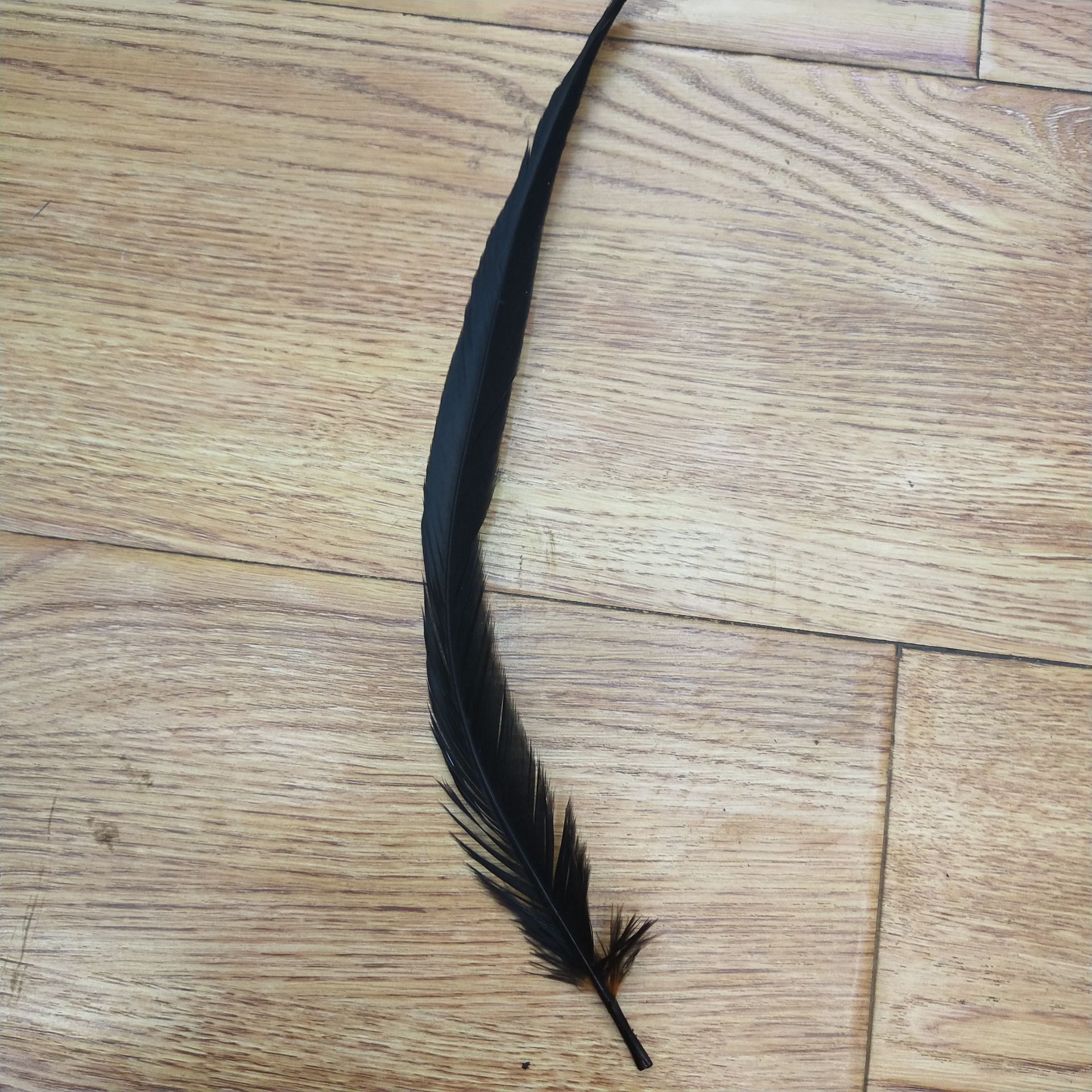 湖南厂家长期提供优质35-40厘米水洗直接染色鸡尾毛 演出服装辅料