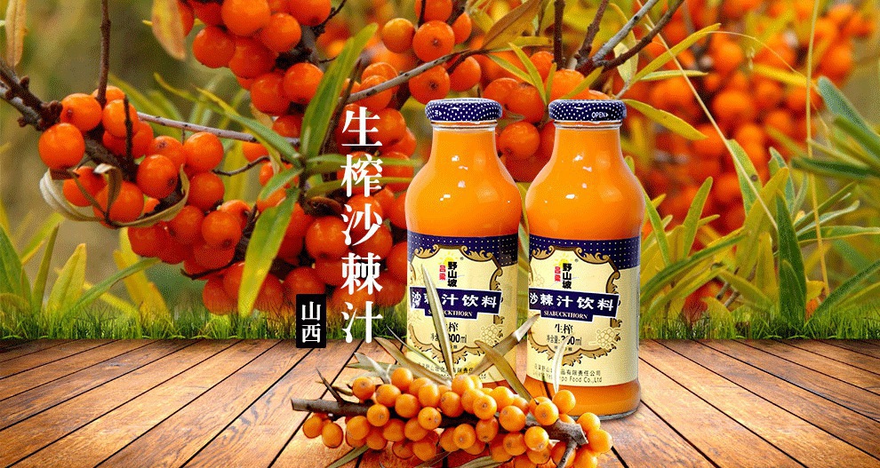 山西特产吕梁野山坡生榨沙棘汁300ml*12瓶/ 箱沙棘果汁饮料