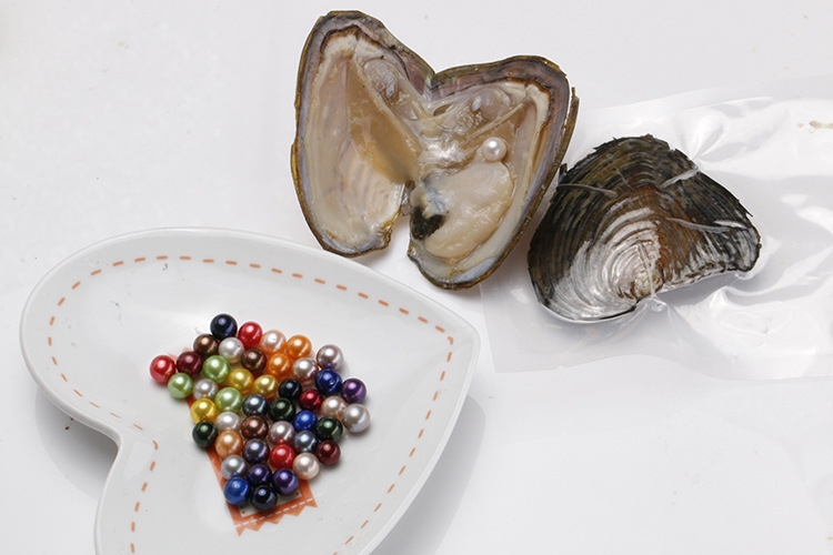 珍珠淡水彩虹色小河蚌一蚌一珠一蚌多珠染色珠外贸出口真空包装