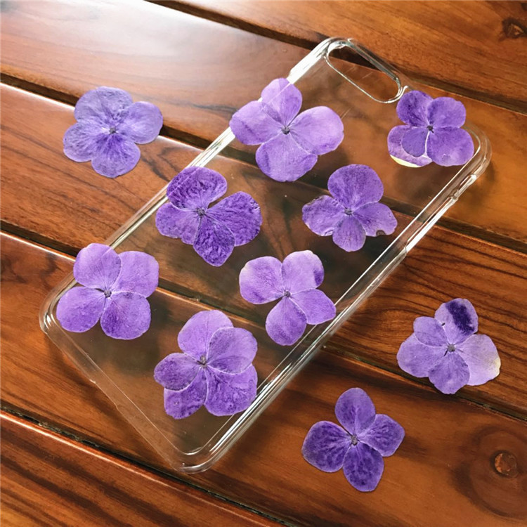 绣球花 紫阳花押花滴胶干花diy手工花材 押花花材绣球花干花压花