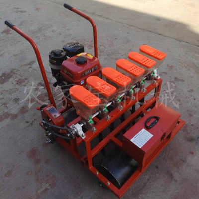 谷子高粱播种机 辽宁凌源热卖谷子精播机 蔬菜种植设备